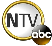 Variant of current logo since 2013