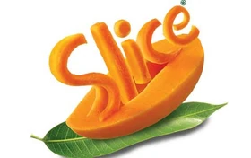Slice