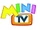 Mini TV