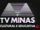 Rede Minas