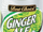 Best Choice Ginger Ale