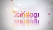 Zindagi TV Launch Case Study