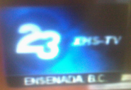 Screen bug (Sep 2013-present)