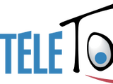 Teletoon/Logo Variations