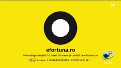 https://efortuna.com.ro/