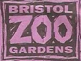 Bristol Zoo Gardens