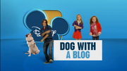 Dog with a Blog