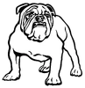 Alternate variant