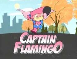 Captain flamingo