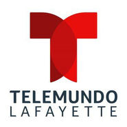 Logo for Telemundo-affiliated DT3 subchannel since January 22, 2020