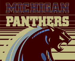 USFL Michigan Panthers