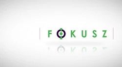 Fókusz 2011