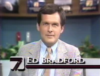 On-screen bug (1987)