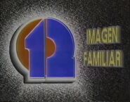 Ident (1990)