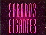 1989 Opening/Ending logo variant