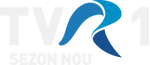 Sezon nou on-screen bug