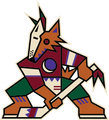 Arizona Coyotes