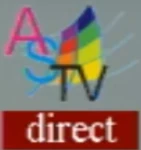 Direct on-screen bug (2020–2025)