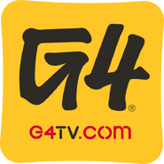 With the change from an all gaming network to more of a focus on male-oriented topics, the strapline "Videogame TV" was replaced with its web address (2006–07).