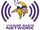 Minnesota Vikings Radio Network