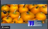 NHPTV WENH-TV 1991 Pumpkin ID