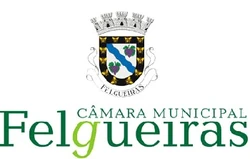 2006 05 11 logotipo cm felgueiras