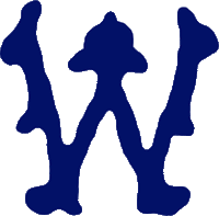Minnesota Twins, Logopedia