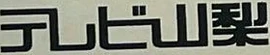 Japanese wordmark