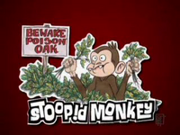 Stoopidmonkey2005 1