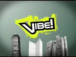 Vibe patrola u Sapcu 1.mp4 snapshot 00.00.171