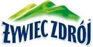 Logo with mountain.