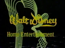 The Many Adventures of Winnie the Pooh VHS (1981)