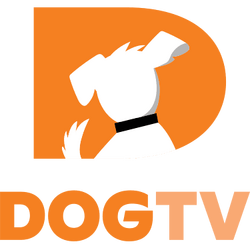 Dogtv logo.png