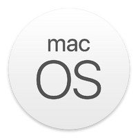 Generic icon, used in some macOS Installers (example: developer betas)