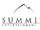 Summit Entertainment/Logo Variations