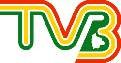 Televisión Boliviana 1993