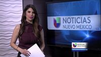 Noticias Univision Nuevo México KLUZ-TV On Air Screen-Bug November 2015