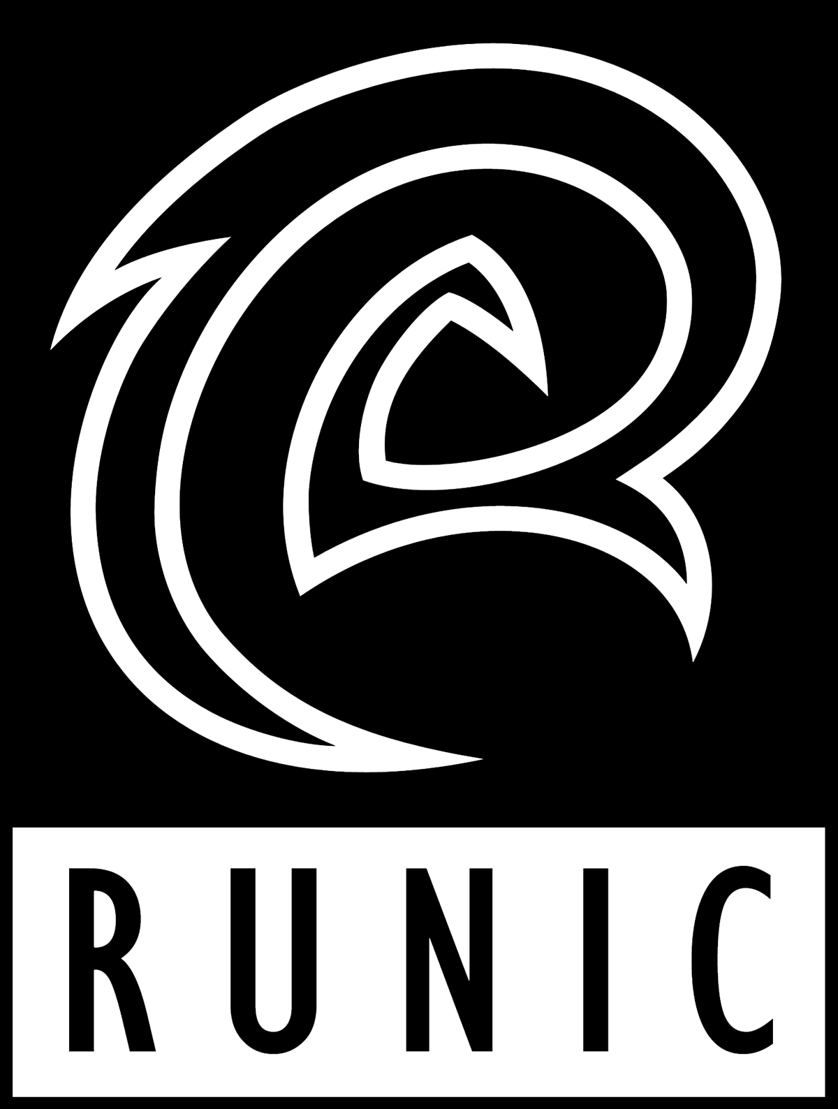 Runic Games | Logopedia | Fandom