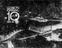 1965–1967