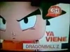 Dragon Ball Z