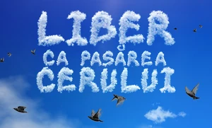 Liber ca pasărea cerului