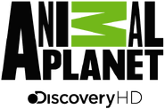 HD logo showing Discovery ownership