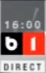 Direct on-screen bug (2021)