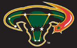 From 2003 to 2006, the Stars used this on their third jerseys. It was widely ridiculed and got nicknamed the Mooterus.