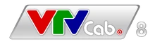 VTVcab 8