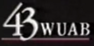 WUAB 43 Bug Logo 1991