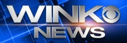 WINK News logo (2008–2012)