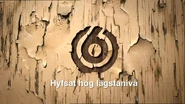 TV6 wood ident.jpg (149 KB) Wood ident
