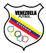 File:Logo escudo FVF, 2023.svg - Wikipedia