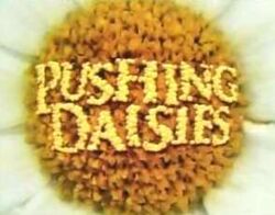 Pushing daisies